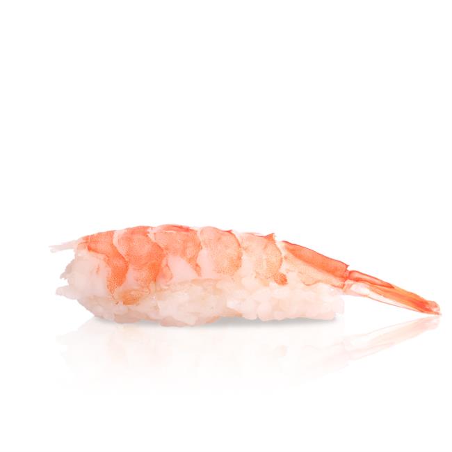 Ebi Nigiri (1Pcs)